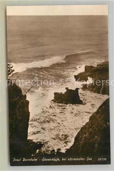 Bornholm Loewenkoepfe