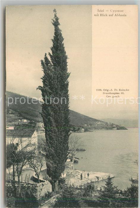 Opatija Abbazia Jelei Cypresse