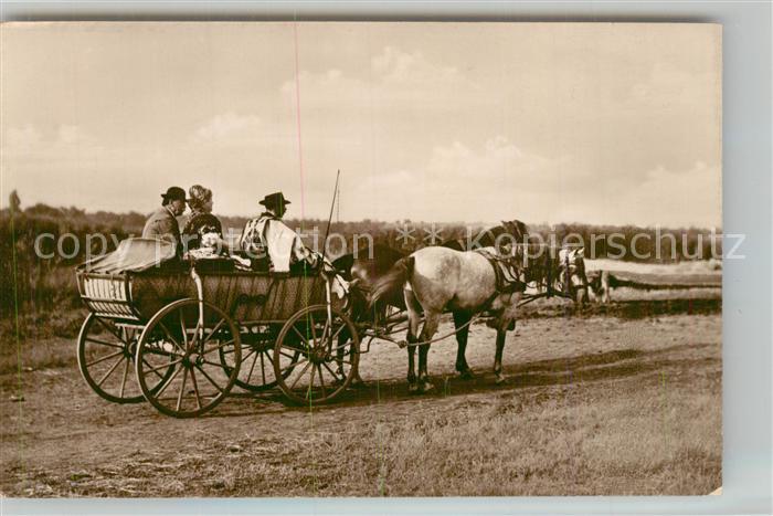 Ungarn Pferdekutsche