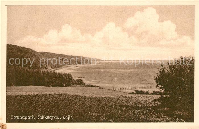 Vejle Strandparti Fakkegrav