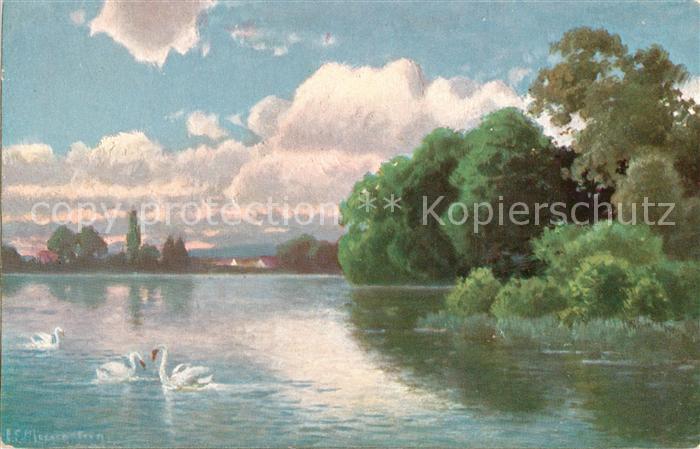 Kudowa-Zdroj Grafschaft Glatz von Prof. Morgenstein Seepartie Schwaene