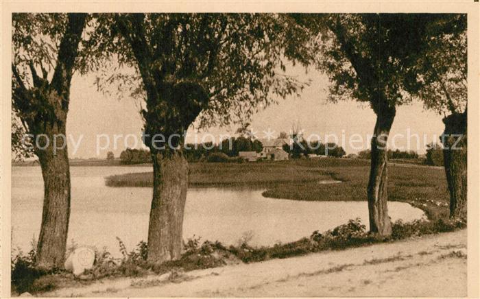 Alwitas Alvitas Partie am Wasser