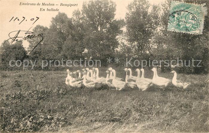 Rangiport En ballade Gaense Gaensemarsch