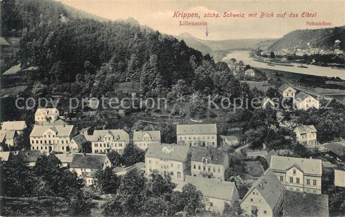 Krippen Bad Schandau Panorama Blick auf das Elbtal mit Lilienstein Elbsandsteing