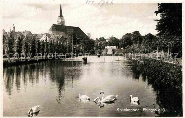 Ehingen Donau Krockensee Schwaene Kirche
