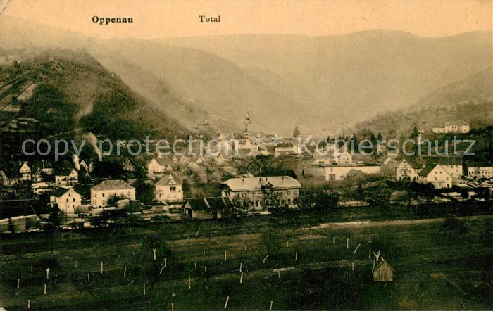 Oppenau Totalansicht