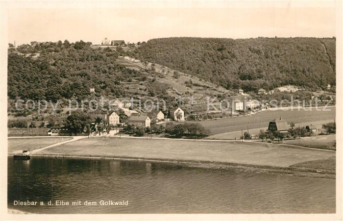 Diesbar-Seusslitz Panorama mit Blick zum Golkwald