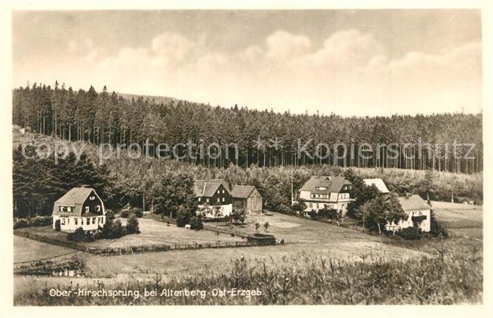 Oberhirschsprung Haeuser am Waldrand