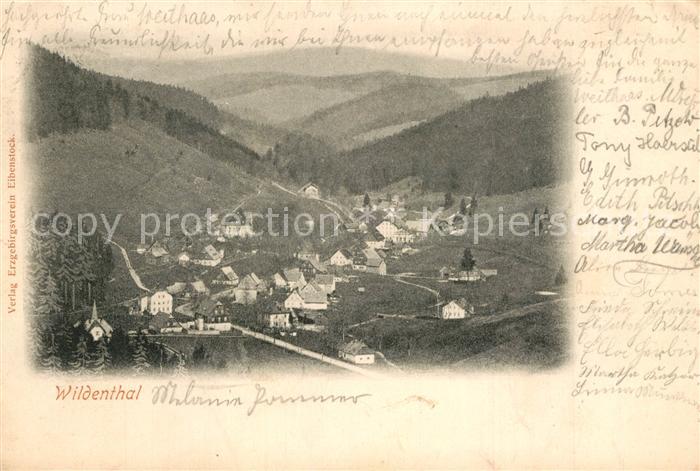 Wildenthal Eibenstock Landschaftspanorama