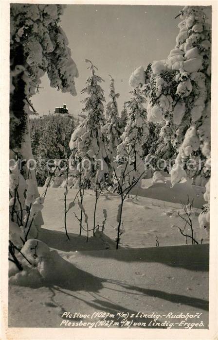 Plessberg Plesivec