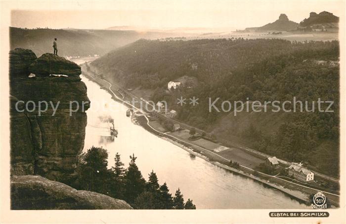 Foto Hahn Nr. 907 Elbtal Schmilka