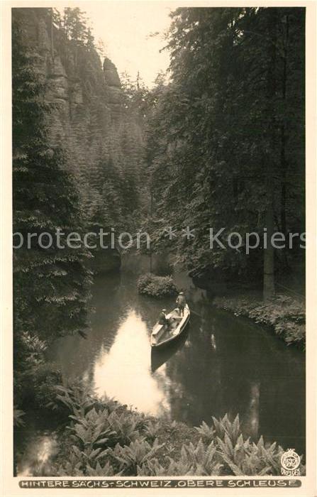 Foto Hahn Nr. 3572 Obere Schleuse Sächsische Schweiz
