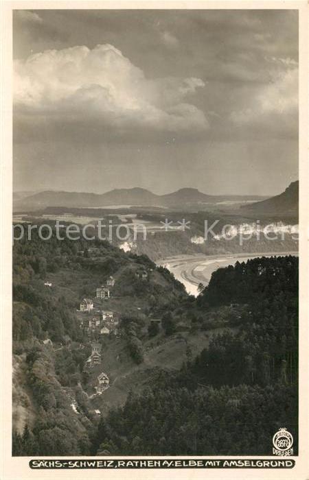 Foto Hahn Nr. 3875 Rathen Elbe Amselgrund