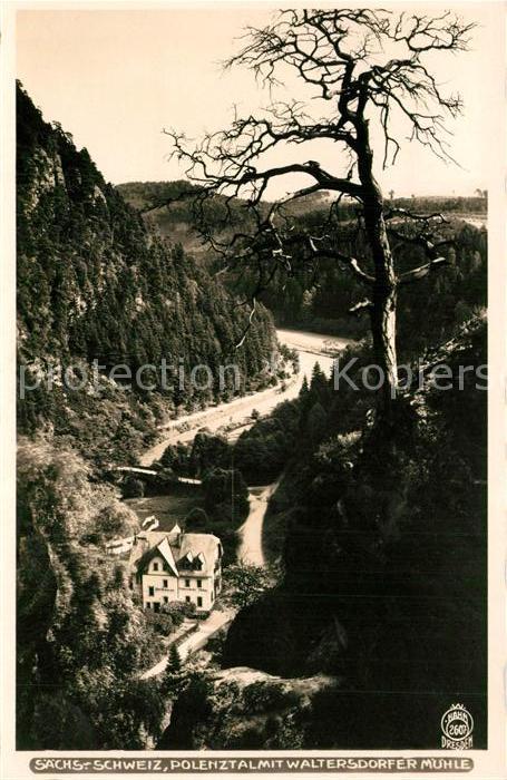 Foto Hahn Nr. 2607 Polenztal Waltersdorfer Mühle