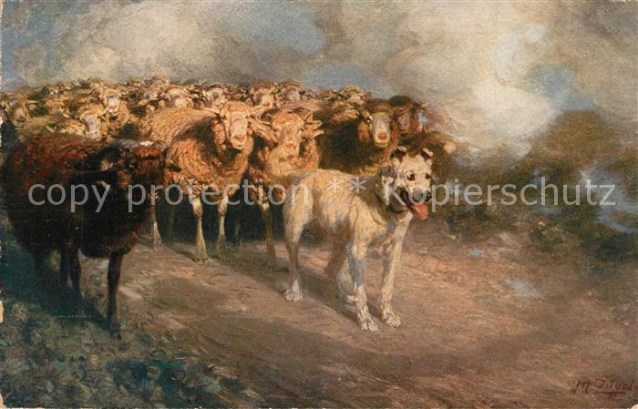 Kuenstlerkarte W. v. Zuegel Hund Schafe Verlag-Seemann-Nr. 32