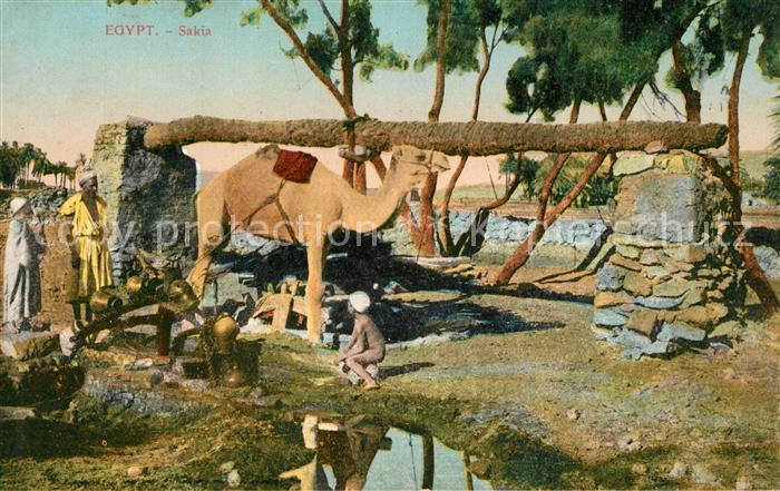 aegypten Sakia Schoepfwerk