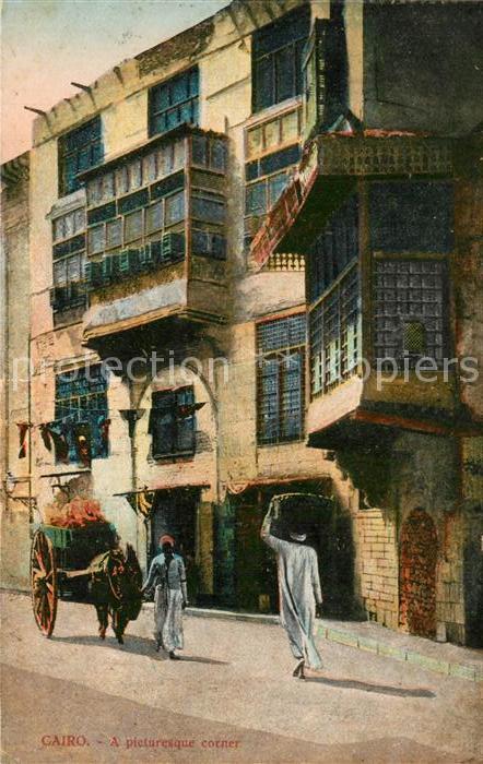 Cairo Egypt Altstadt Eselskarre