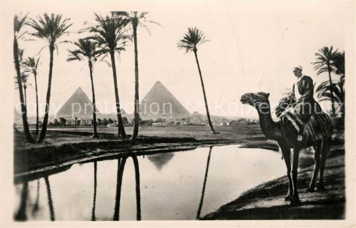 Gizeh Pyramids Pyramiden Kamel Oase