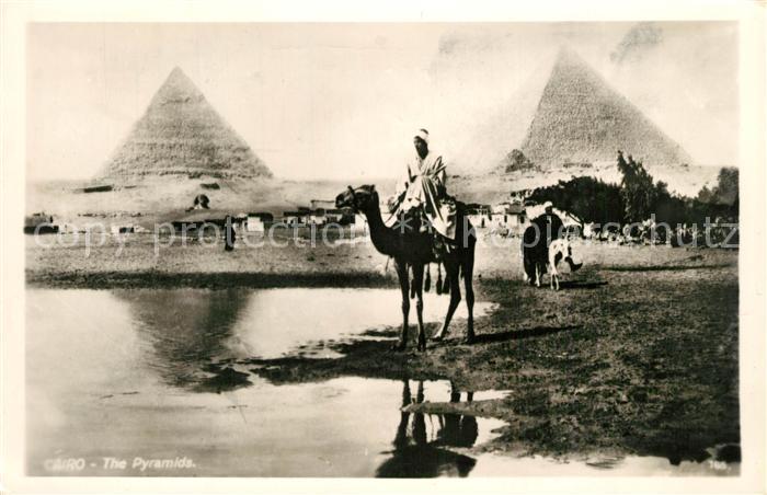 Cairo Egypt Pyramiden Kamele