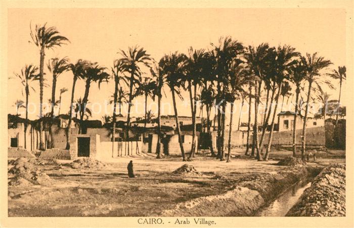 Cairo Egypt Dorf Panorama Palmen