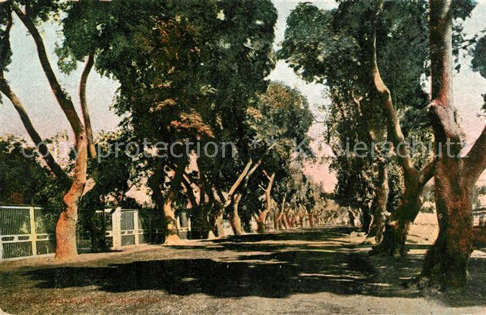 Cairo Egypt Boulevard de Choubra