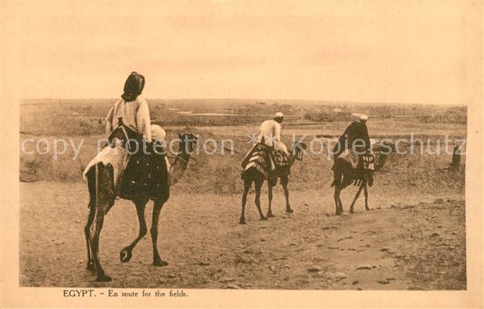 aegypten Karawane Kamele