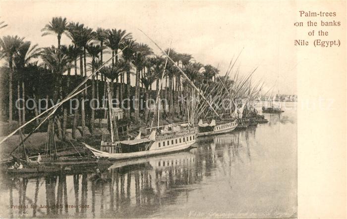 aegypten Palmen am Nil