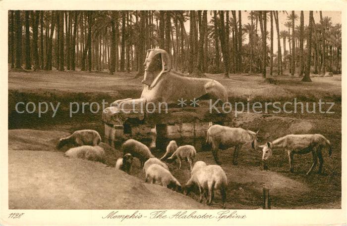 Memphis Aegypten Alabaster Sphinx