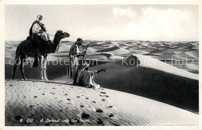 Egypte Wueste Kamel Lockout into the Desert
