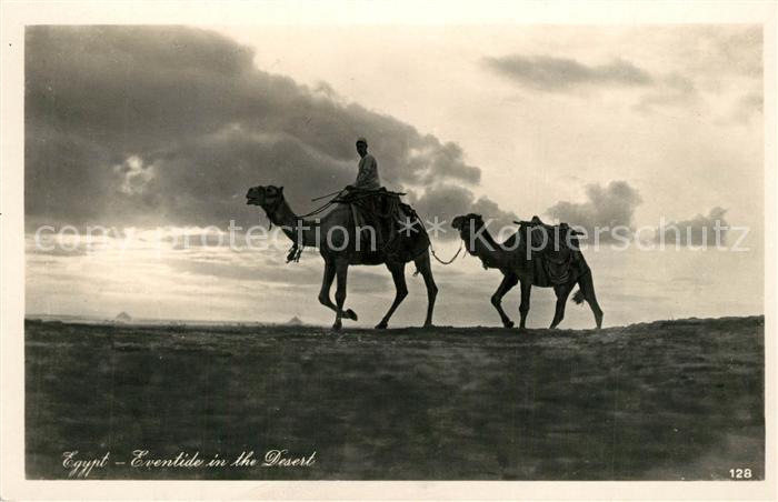 Egypte Kamele Reiter