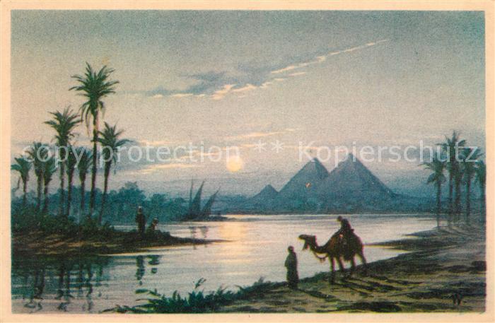 Egypte Pyramiden Mondschein Kamel
