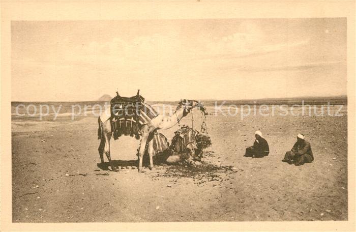 Sakkara Saqqarah Ruhe in der Wueste