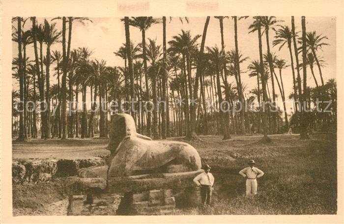 Memphis Aegypten Sphinx Albatre