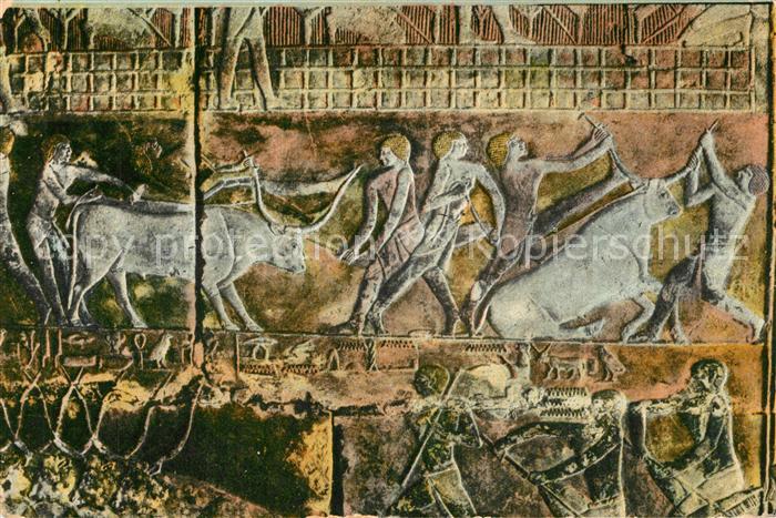 Saqqarah Sakkara Innenansicht Tomb von Mera