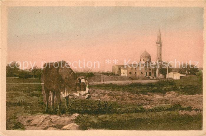 Alexandria Alexandrie Aegypten Sidi Gaber Moschee