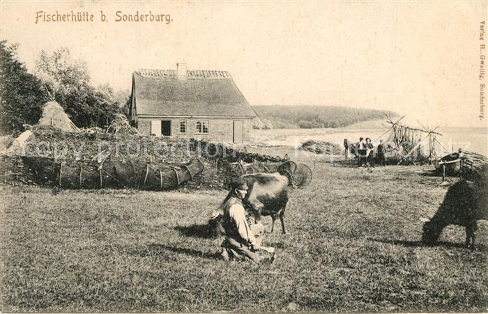 Sonderborg Fischerhuette Kuehe