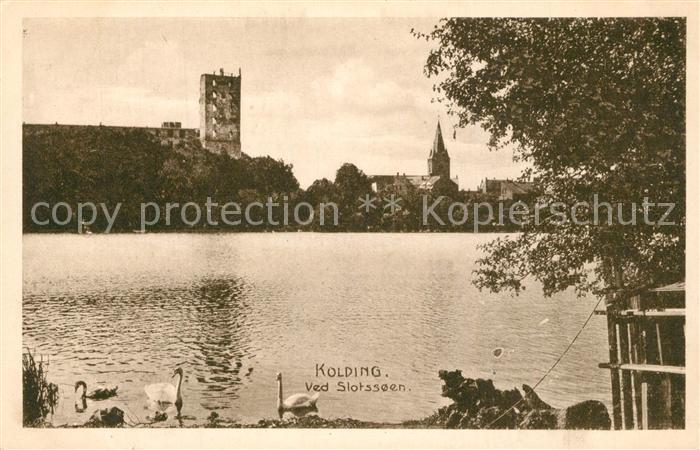 Kolding Slotsoeen Schwaene