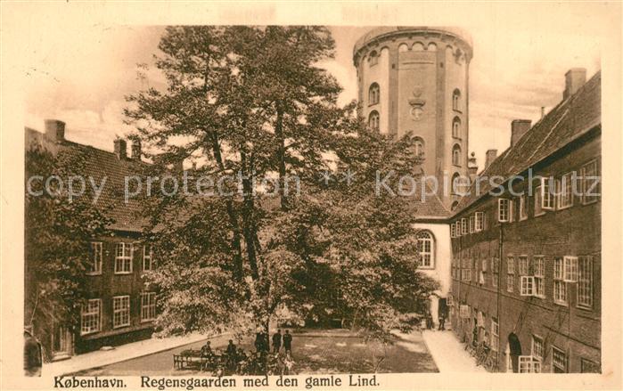 Kobenhavn Regensgaarden med den gamle Lind