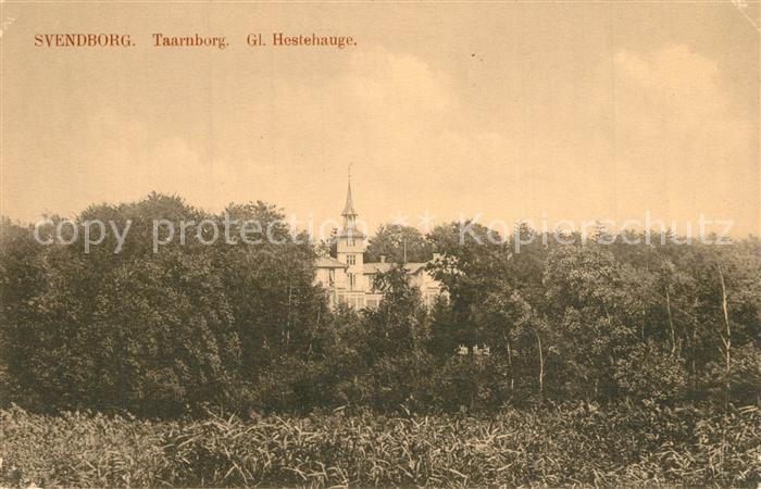 Svendborg Taarnborg Hestehauge