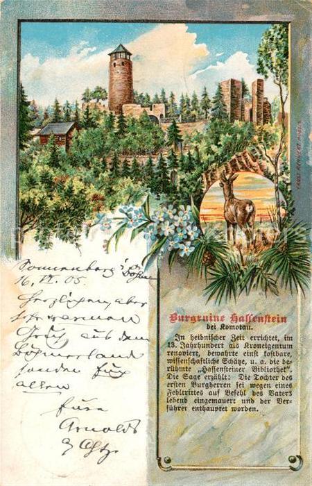 Komotau Burgruine Hassenstein Wild Kuenstlerkarte