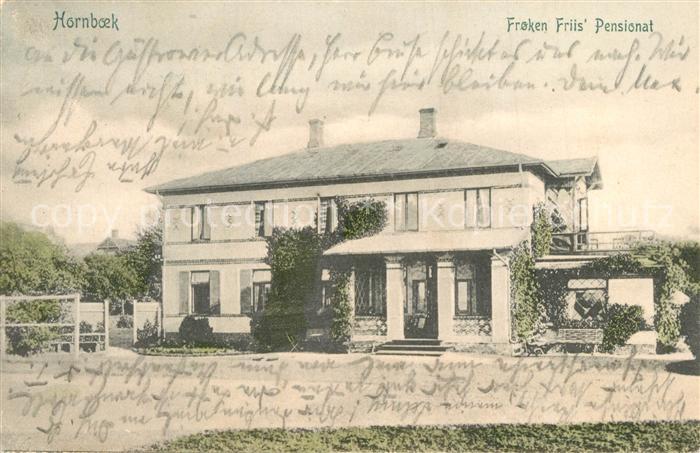 Hornboek Froken Friis  Pensionat