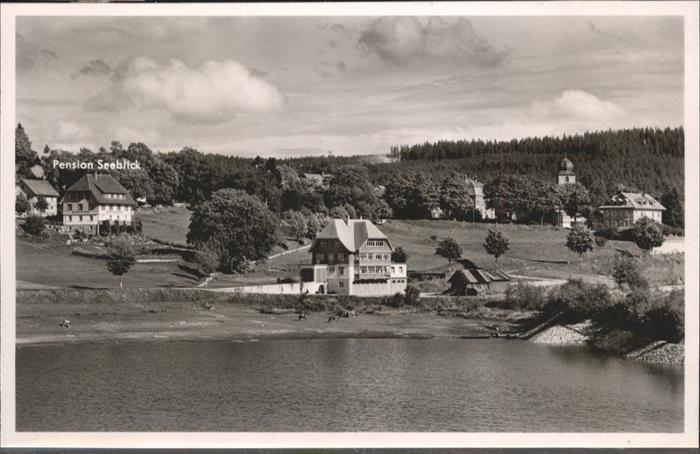 Schluchsee Pension Seeblick