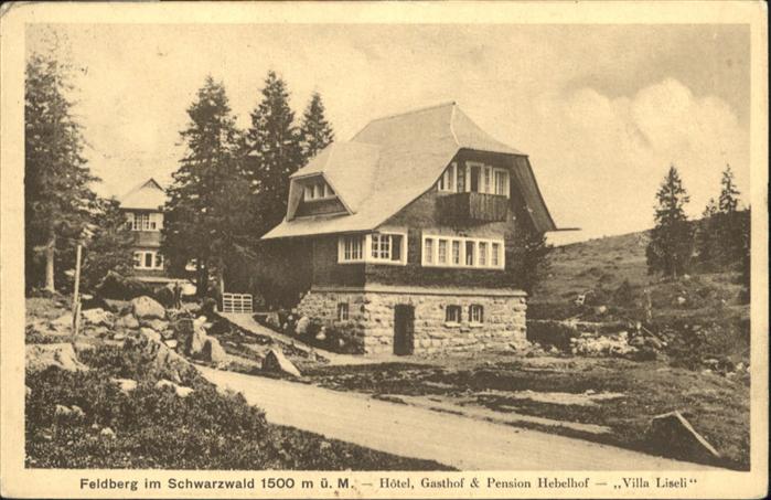 Feldberg Schwarzwald Hotel Gasthof Pension Hebelhof Villa Li