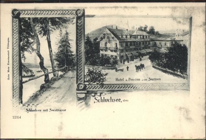 Schluchsee Hotel Pension Sternen Kutsche Seestrass