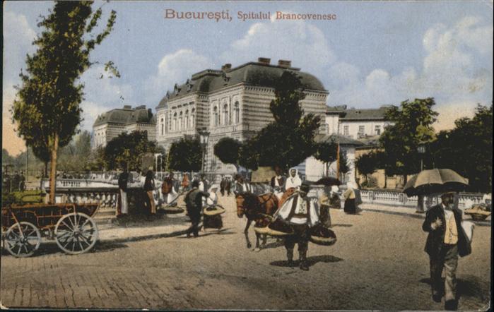 Bucuresti Bukarest Bucaresti RO Spitalul Brancovenese Pferd