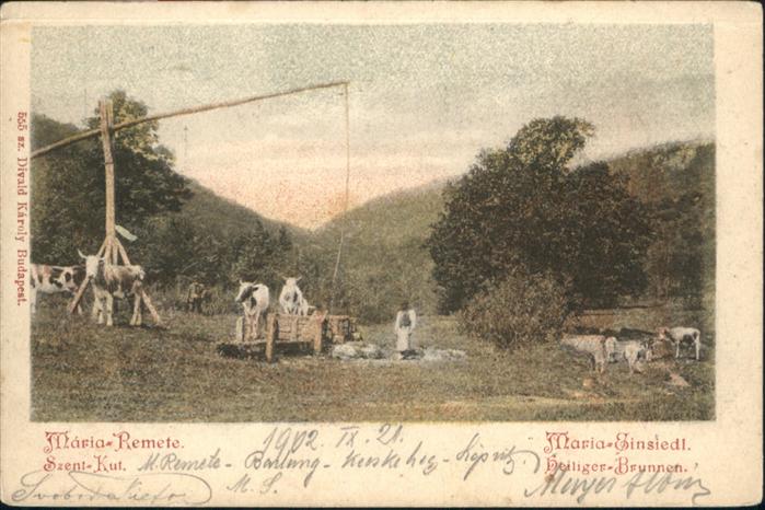 Maria-Remete Heiliger Brunnen Kühe