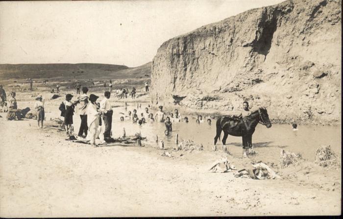 Balkan Rumänien Pferd Baden