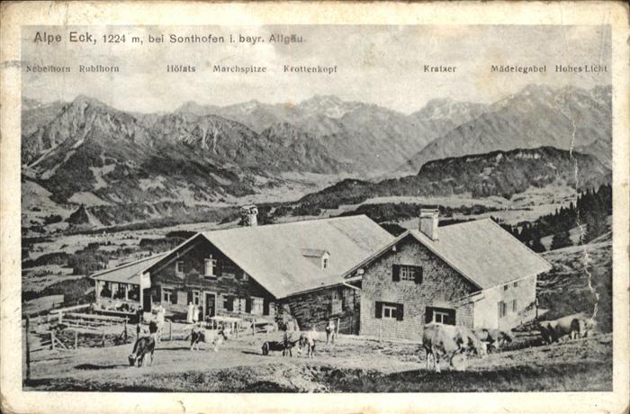 Sonthofen Oberallgaeu Alpe Eck Kühe