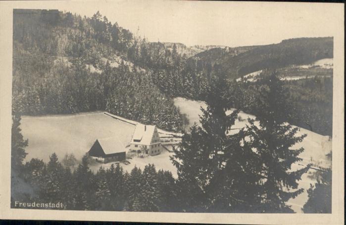 FREUDENSTADT BW Baeren Schloss