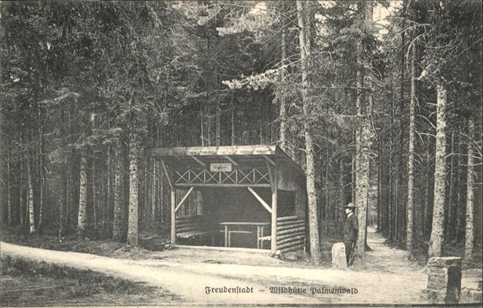 FREUDENSTADT BW Wildhuette Palmenwald